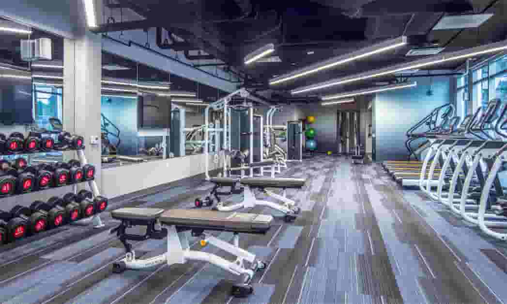 Workout benches, cardio, dumbells, and machines in the 24 hour fitness center